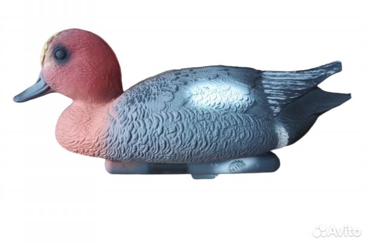 Утка Свиязь (чучело для охоты)