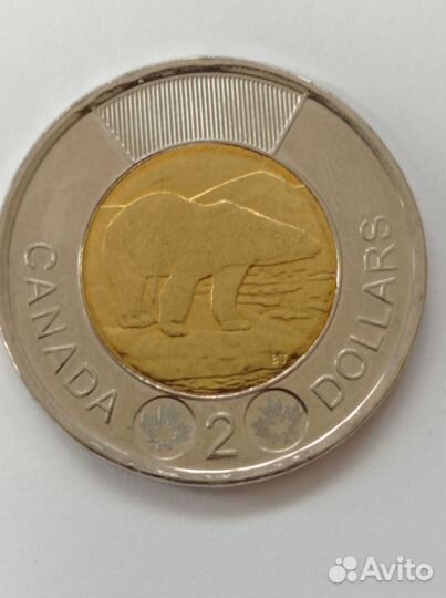 Монета 2 доллара Канады. Медведь