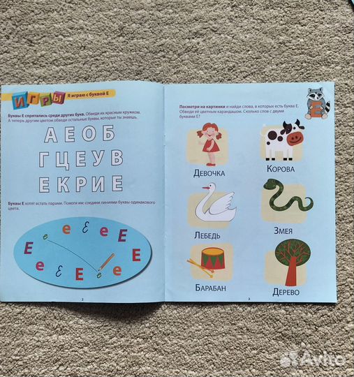 Рабочие тетради 