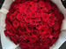 Букет из 51 Красной розы с доставкой