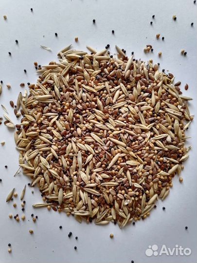 Корм для попугаев и других видов птиц