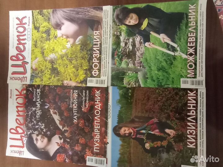 Журнал Цветок