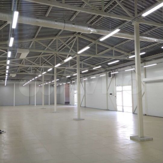 Торговая площадь, 1000 м²