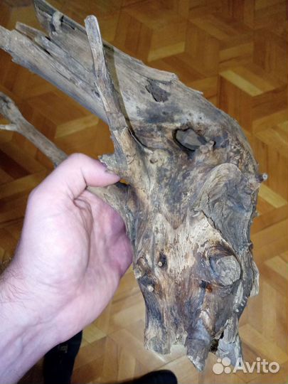 Коряга натуральная вяз