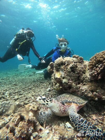 Дайвинг в Москве