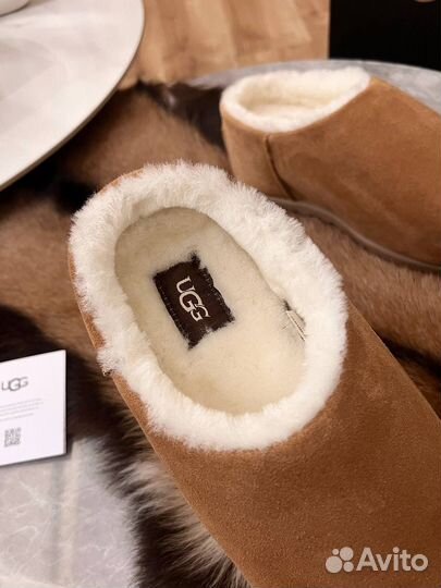 Угги из замши UGG Pumped