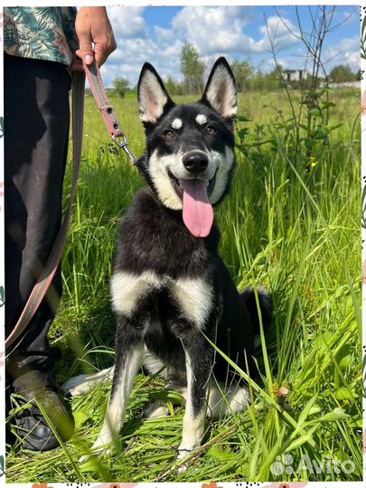 Классная девчонка 7 месяцев