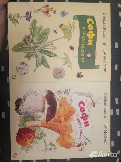 2 книги С. Каста про Софи