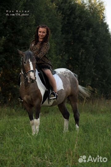 Продам лошадей