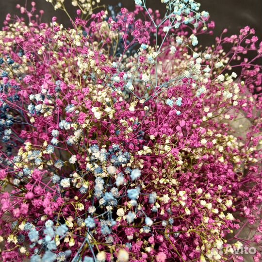 Цветы Гипсофилы Букет гипсофил Доставка