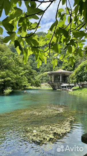 Индивидуальные туры экскурсии Абхазия