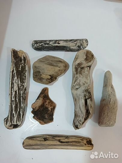 Коряги дрифтвуд