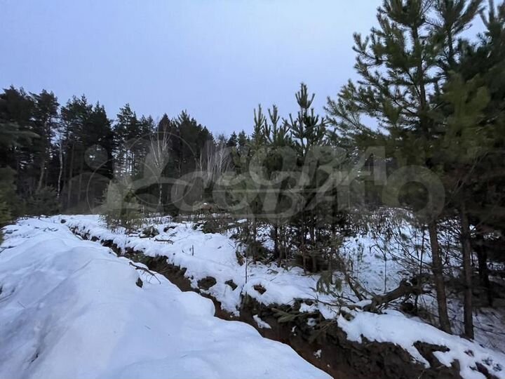 Участок 11 сот. (ИЖС)