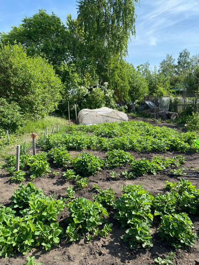 Дача 10 м² на участке 6 сот.