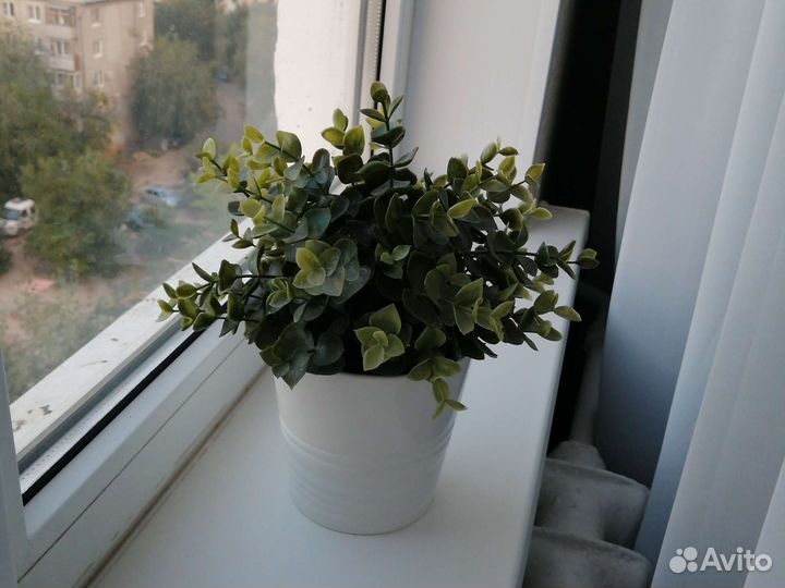 Шефлера искусственная икеа