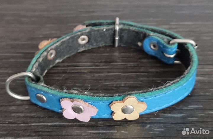 Ошейник для маленькой собаки