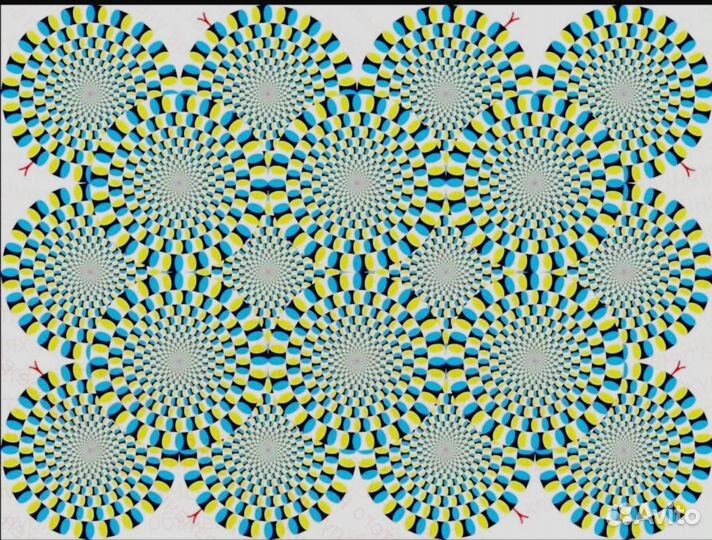 Разнорабочий Арабика Вахта лёгкая вакансия от 20см