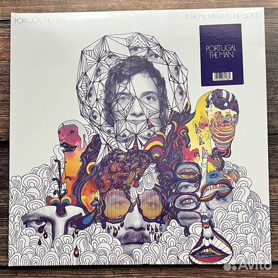 Portugal The Man - In The Mountain LP