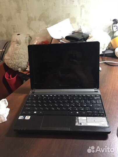 Ноутбук (нетбук) Packard Bell