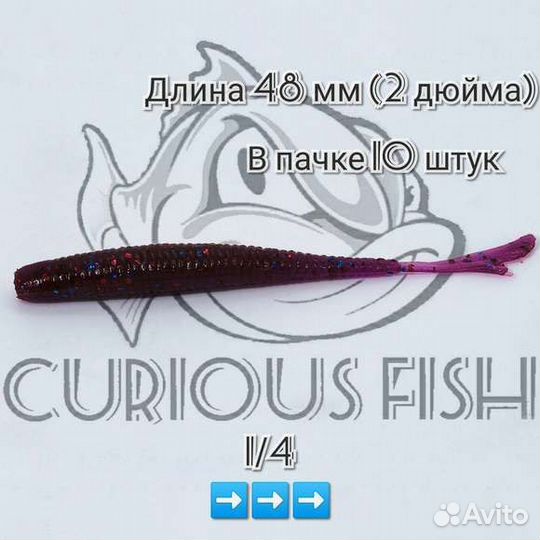 Curious Fish- Fish Tail 2 дюйма (48мм)