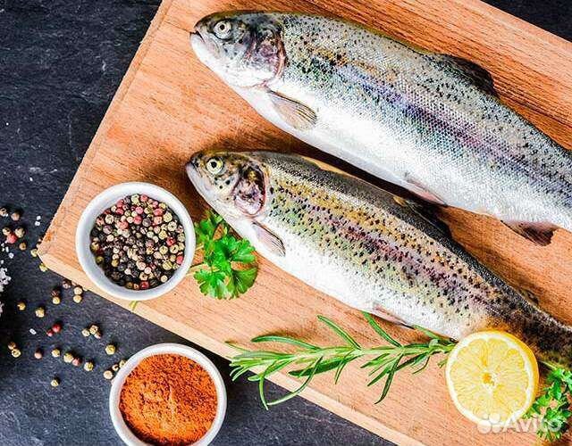 Форель Карелия 2023 охлаждённая