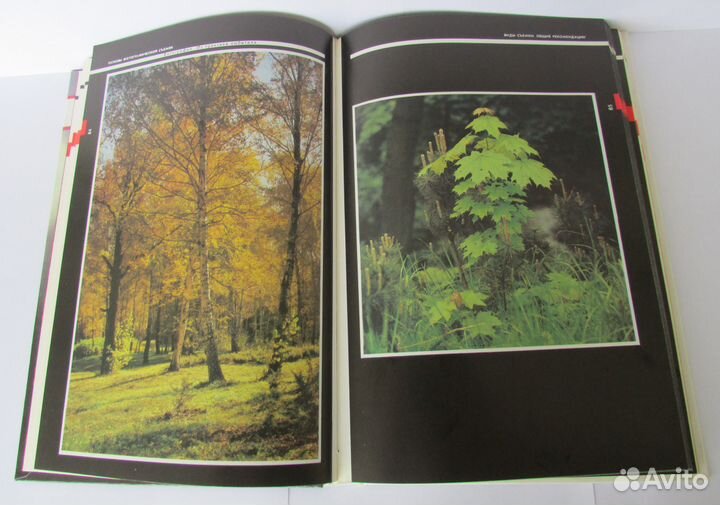 Фотография. Из практики любителя