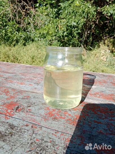 Мед Белой акации 2023 г. оптом и в розницу