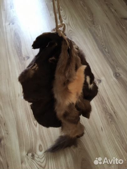 Шкурка куницы