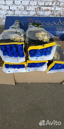 Радужные розы букет.Доставка по Москве и мо