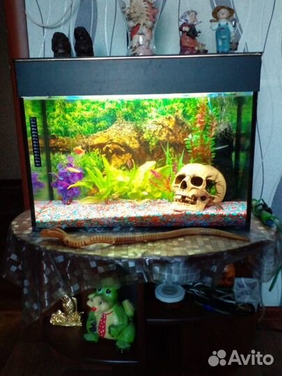 Аквариум для рыбок 60 литров