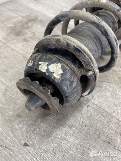 Амортизатор передний правый Kia Rio