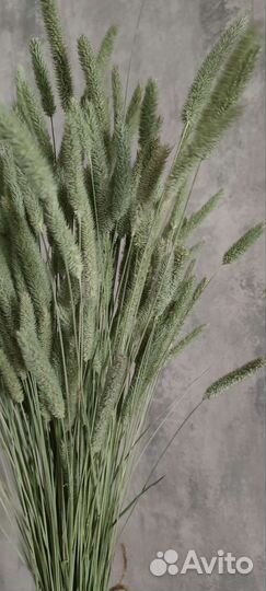 Букет. Сухоцвет. Декор