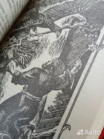 Книга. Басурман