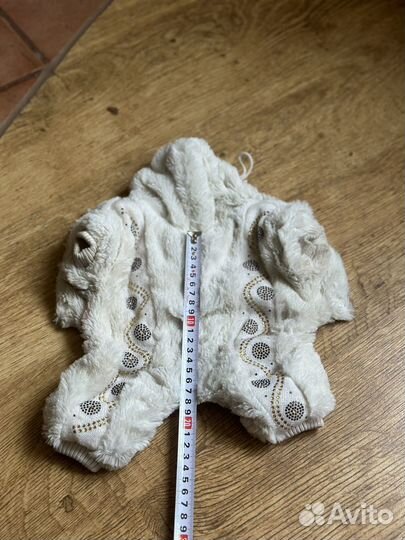 Одежда для собак