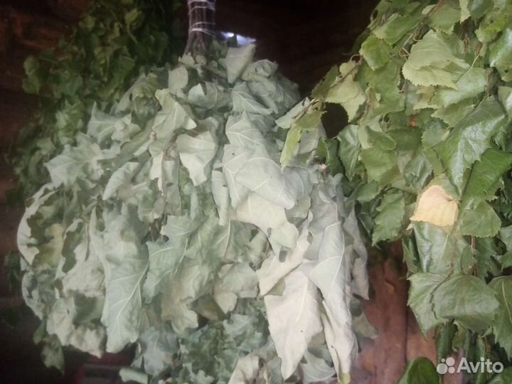 Веники для бани с доставкой на дом