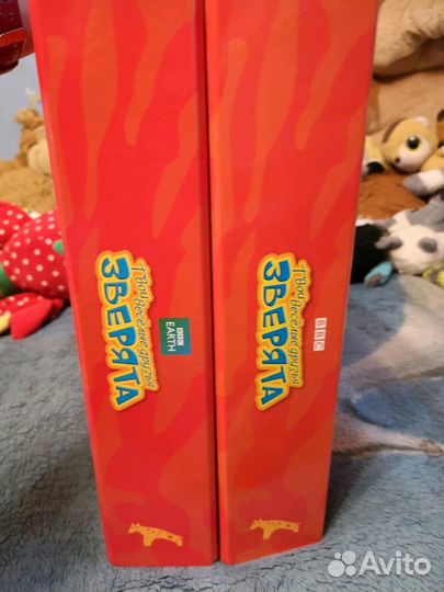 Диски обучающие