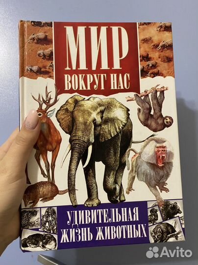 Мир вокруг нас. Детская книжка