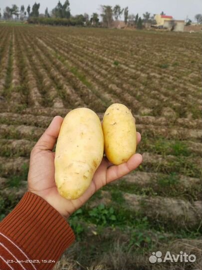 Инвестиции в сельское хозяйство