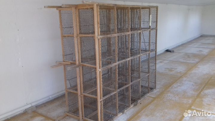 Клетка для выращивания попугаев,амадин,конареек