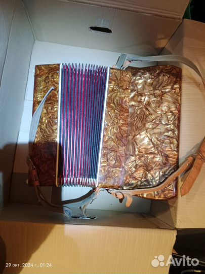 Аккордеон Аккорд