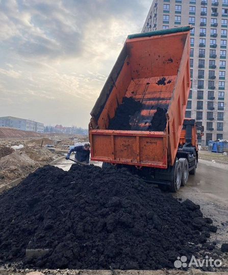 Земля чернозем