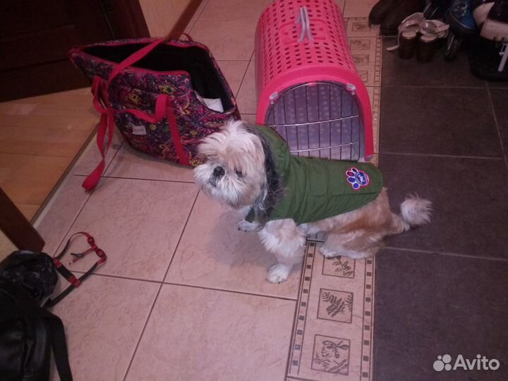 Комбинезон для собаки