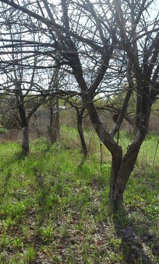 Дача 25 м² на участке 8 сот.