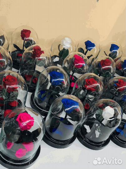 Роза в колбе