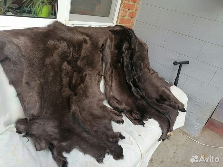 Выделка шкур