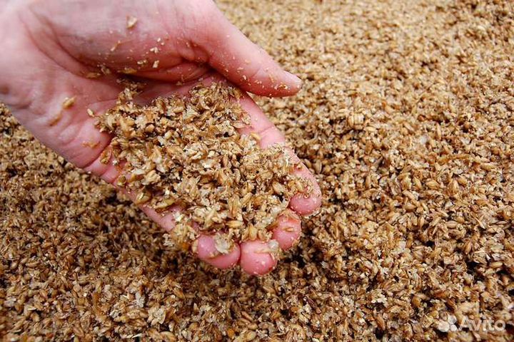 Дробина пивная