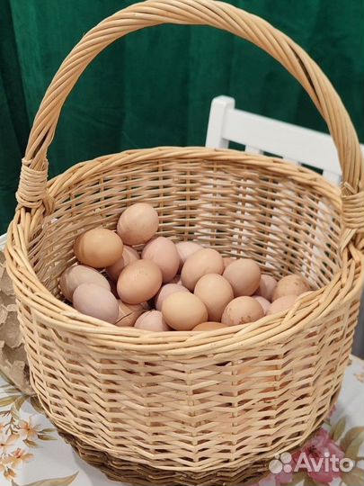 Домашние куриные яйца