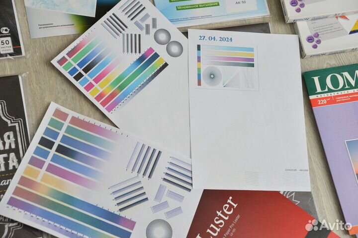 Струйный принтер Epson L800