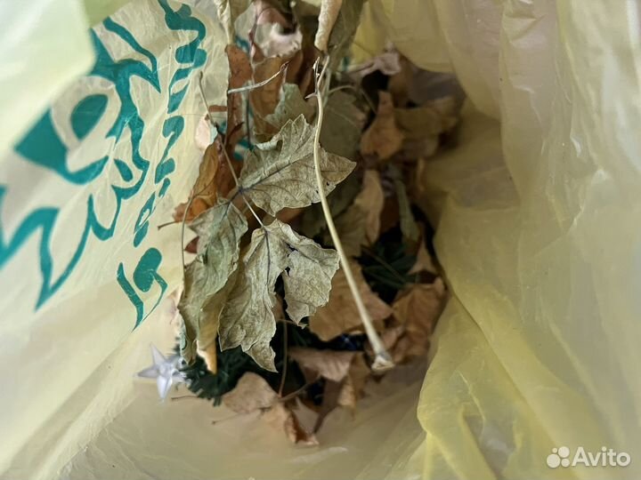 Шишки доя поделок