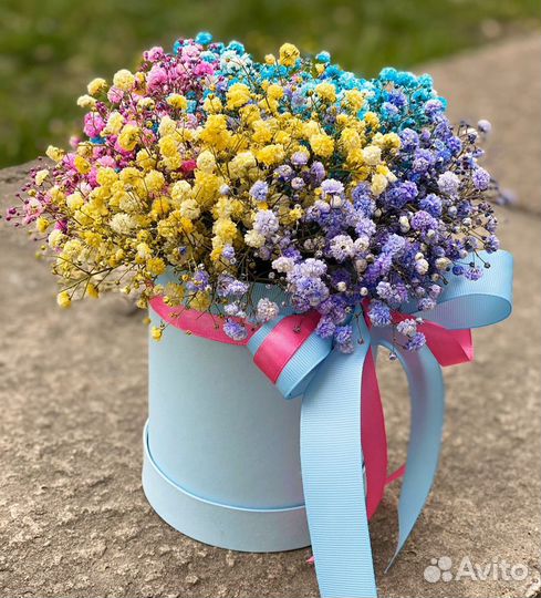 Цветная Гипсофила в Коробке. Доставка/Самовывоз